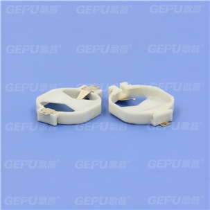 GP07-CR2032-19
